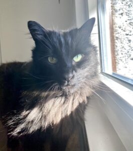 Balù